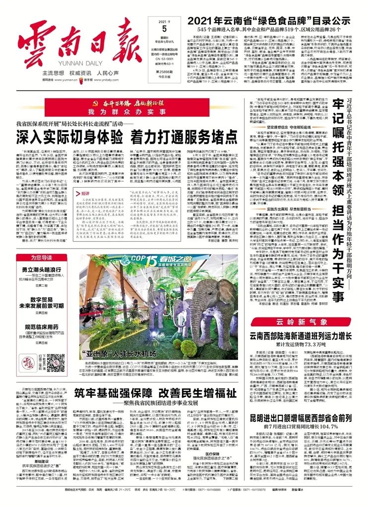 【局长处长科长走流程】《云南日报》头版头条点赞全省医保系统“局长处长科长走流程”活动