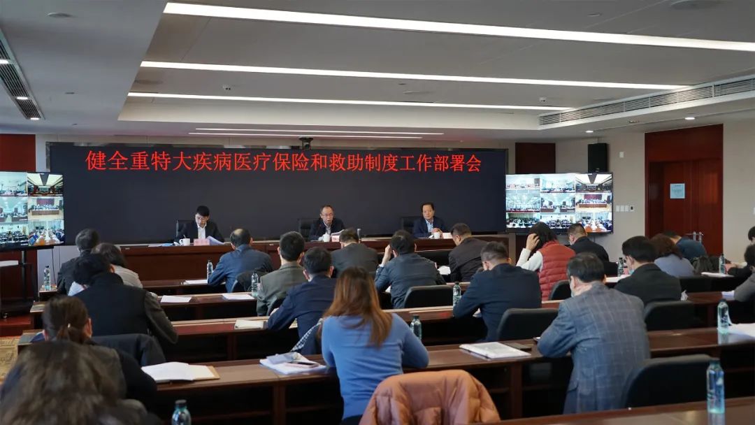 爱爱视频副局长陈金甫出席健全重特大疾病医疗保险和救助制度工作部署会