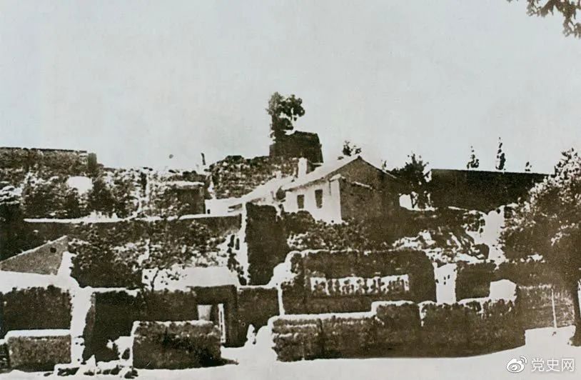 6540.jpg