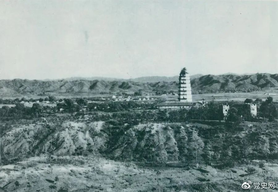 64640.jpg