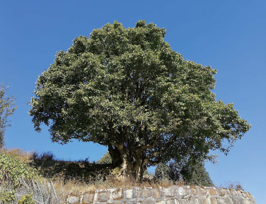 640 (4).png