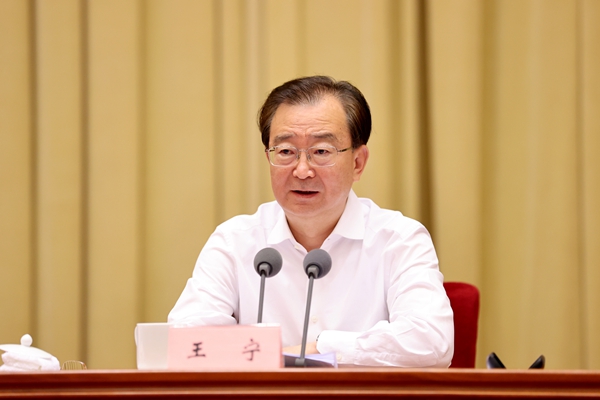 王宁出席会议并讲话.jpg